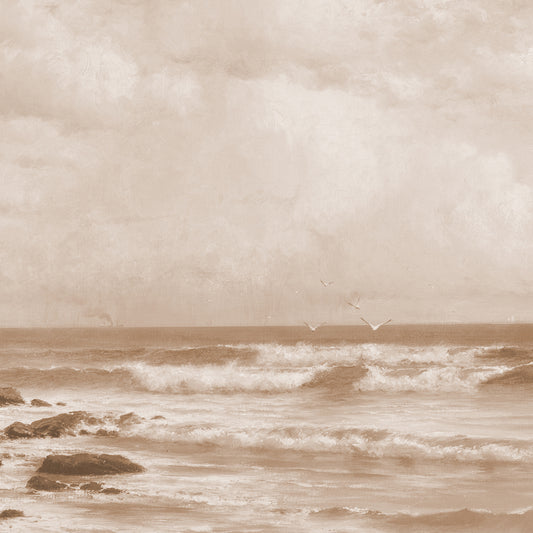 Mare - Seppia