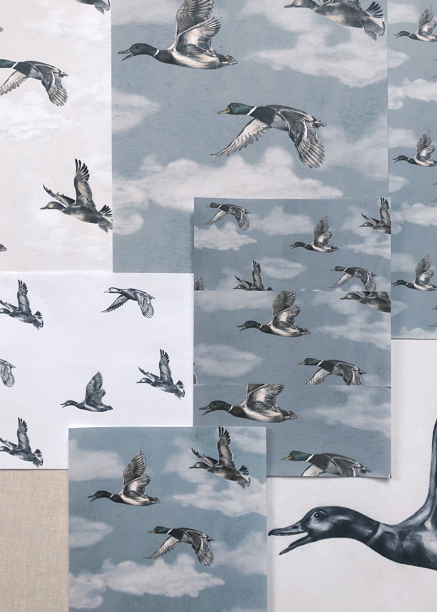 Summer Gray Tapete - Voyage - Winter Blau