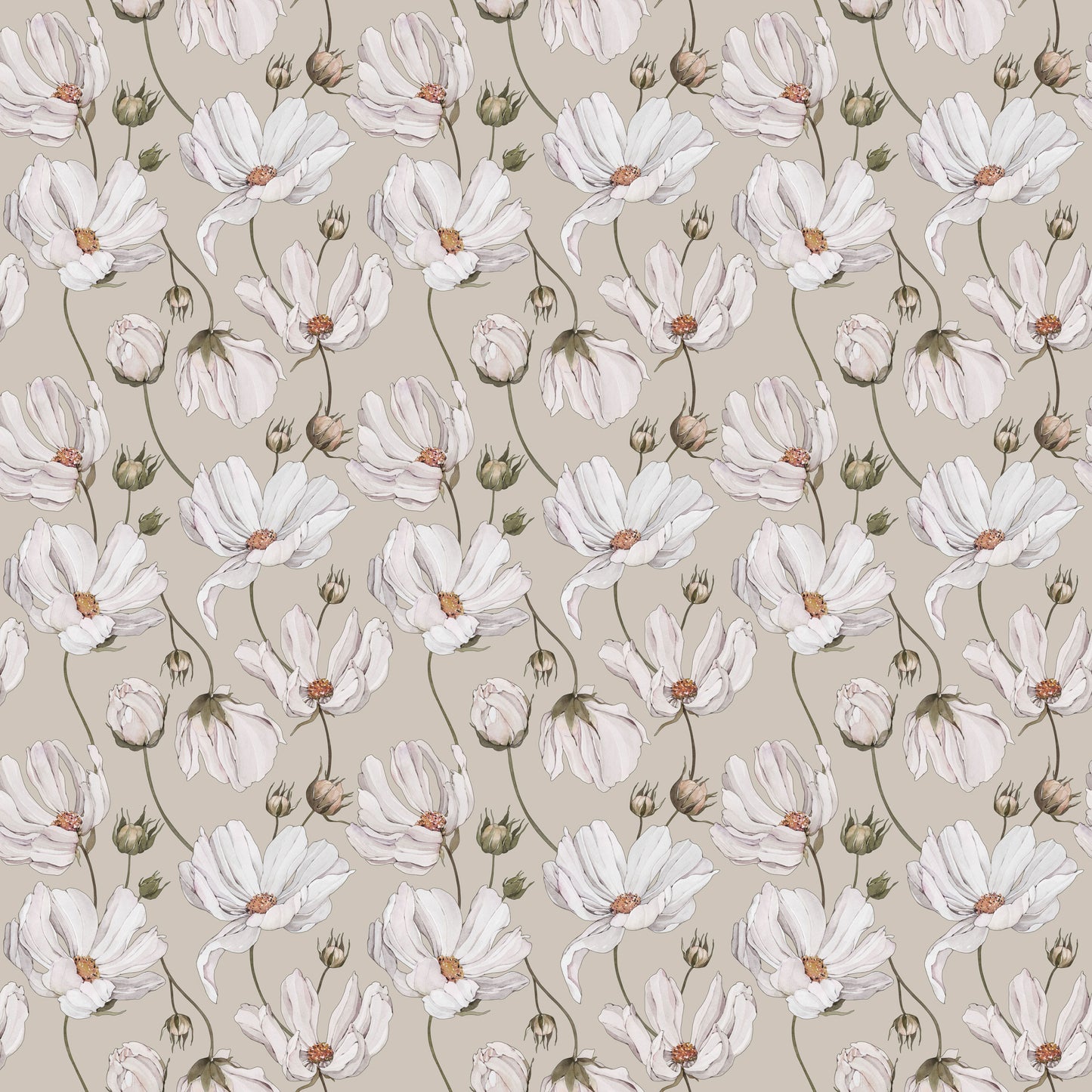 Summer Gray Tapete - Gänseblümchen - Beige