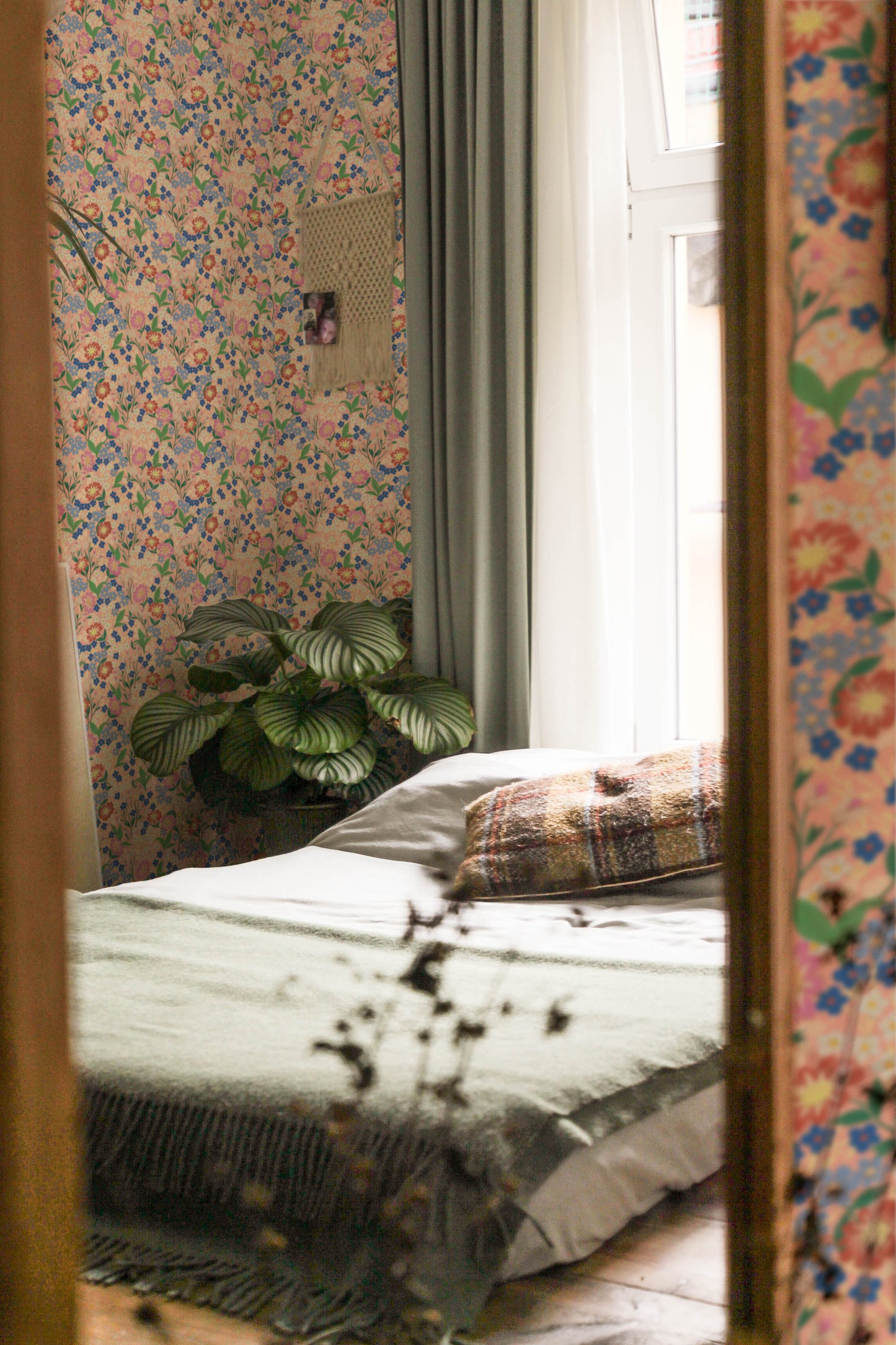 Summer Gray Wallpaper - Lola - Peach