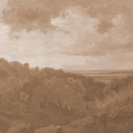 Paesaggio - Seppia