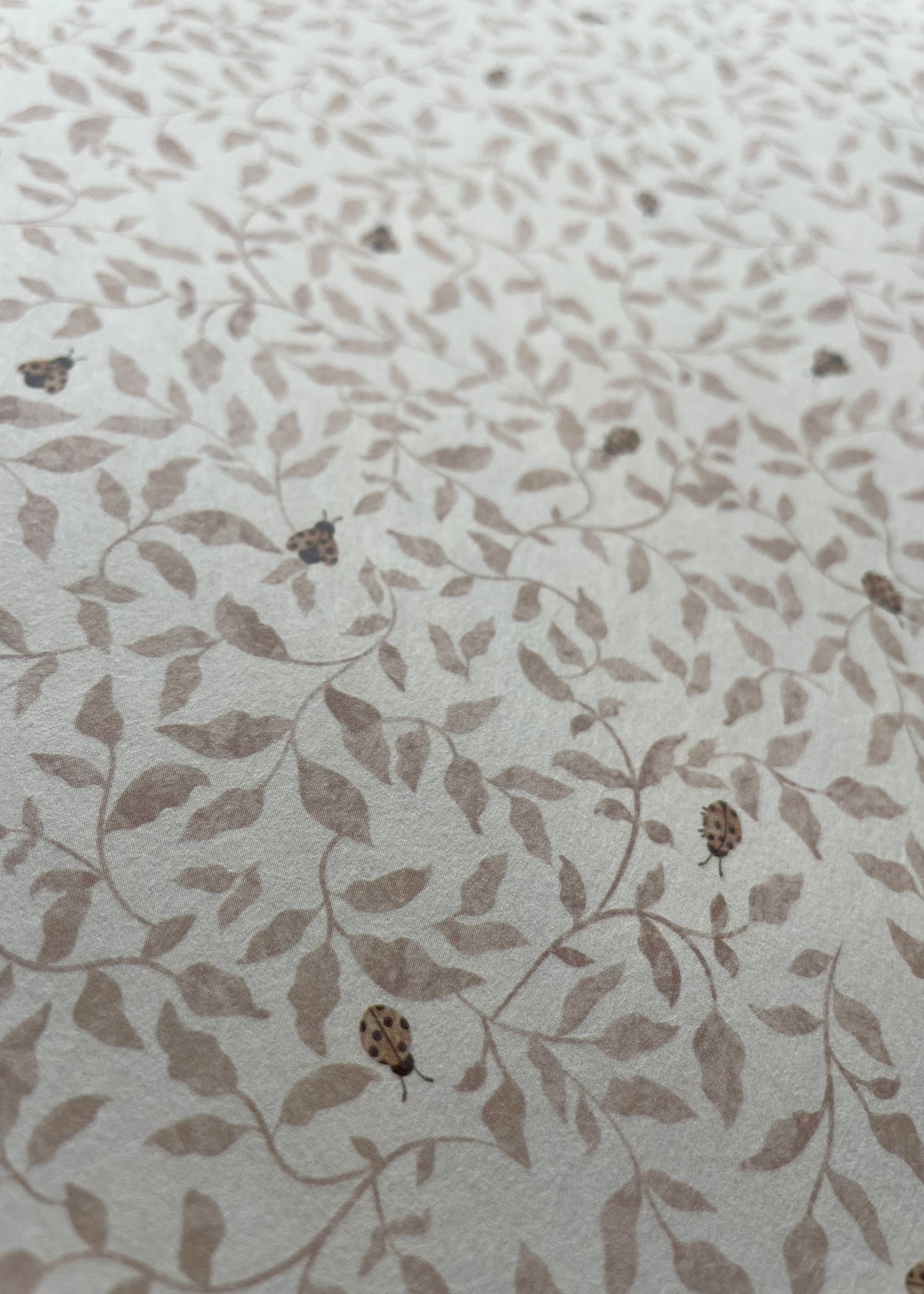 Ladybirds - Tera Pink