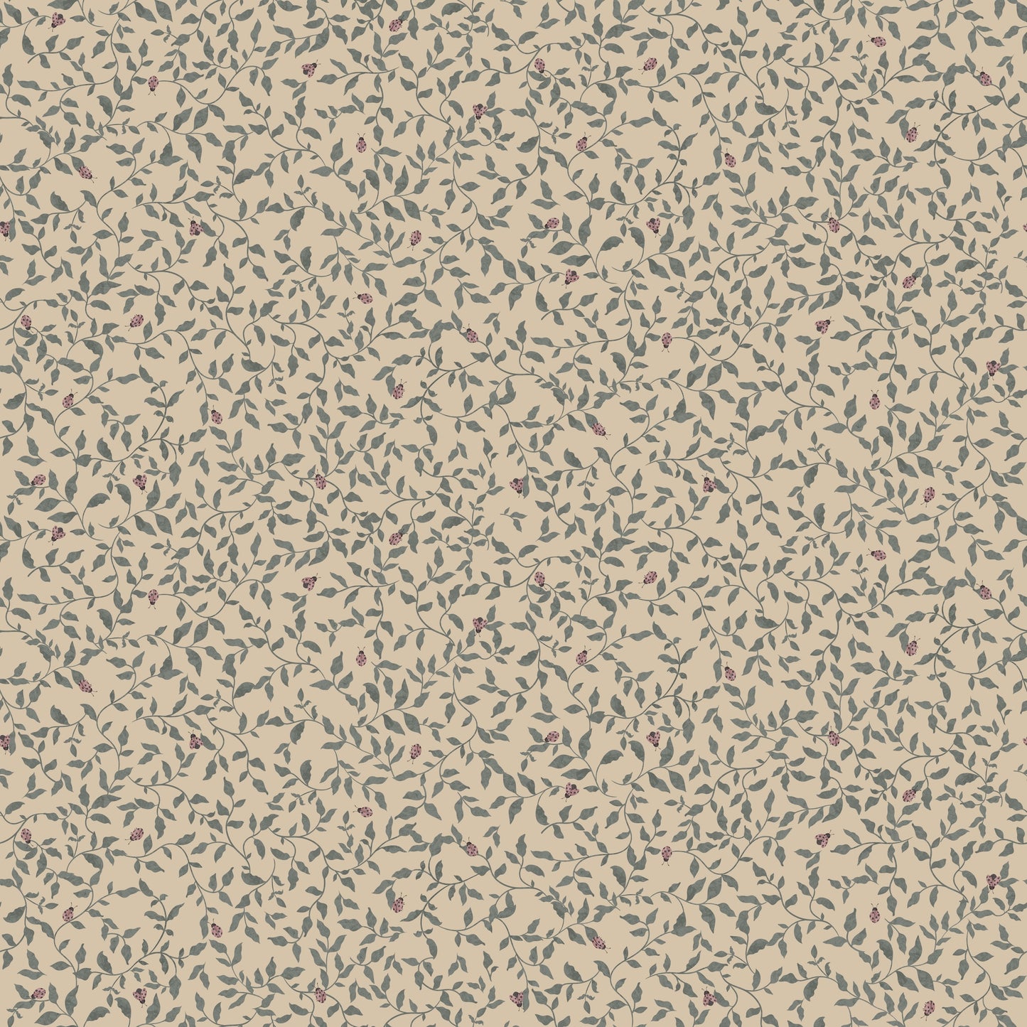 Ladybirds - Admiral