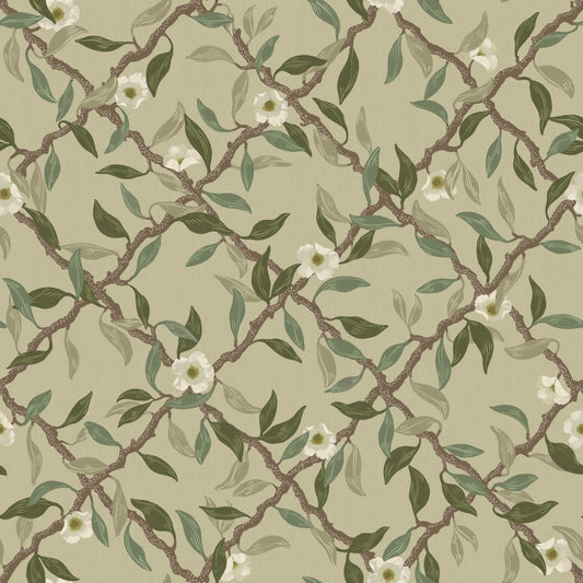 Summer Gray Tapete - Espalier - Salbeigrün