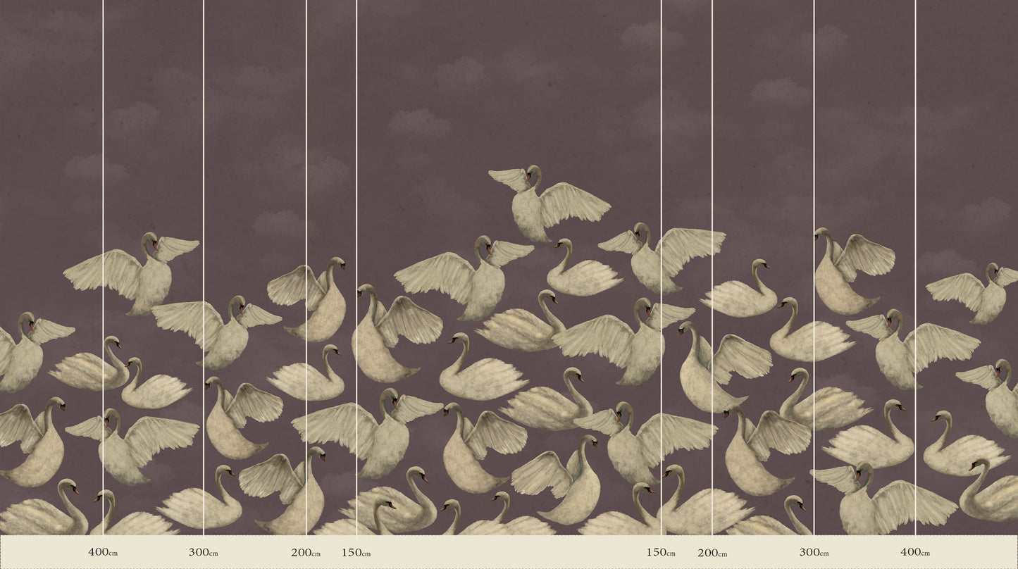 Night Swans - Malwa