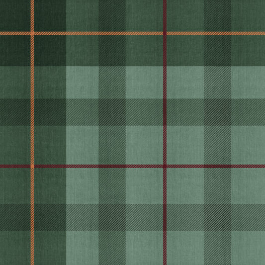Twill - Kiefer