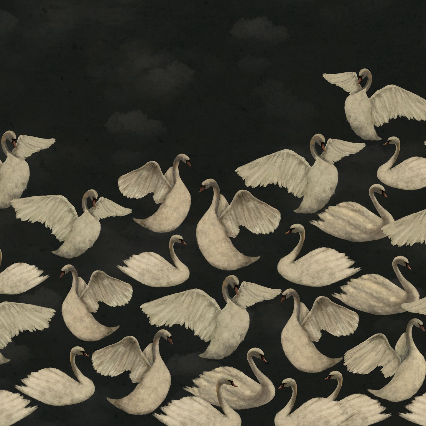 Night Swans - Charcoal