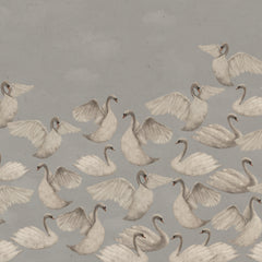 Night Swans - Gray