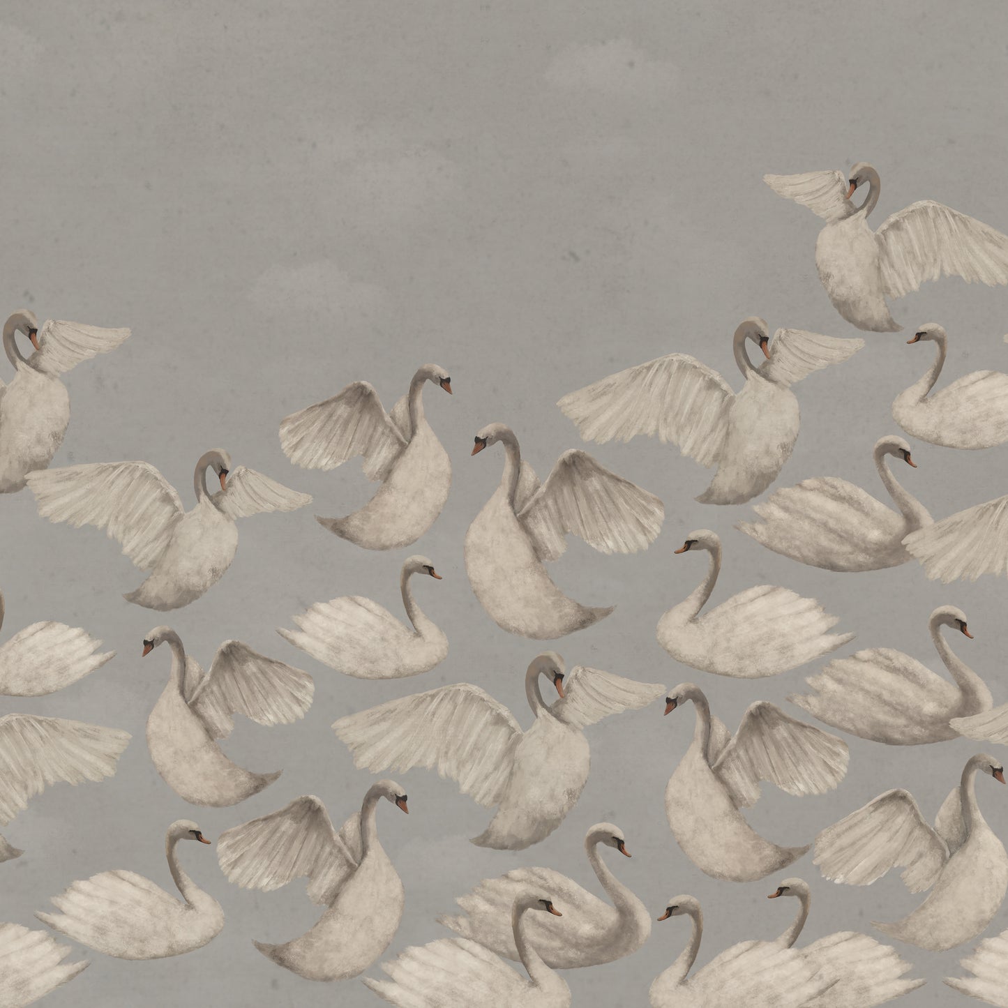 Night Swans - Gray