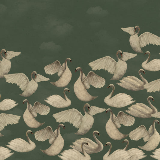 Night Swans - Sage