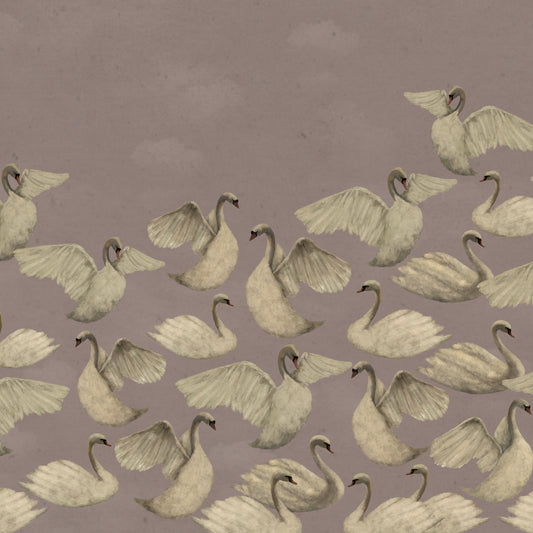 Night Swans - Dusty Pink
