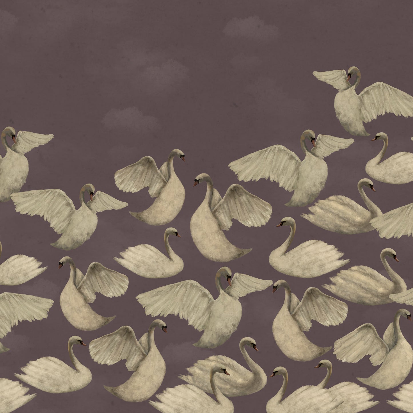 Night Swans - Malwa