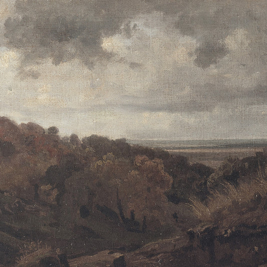 Paesaggio - Autunno