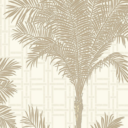 Behang - Copacabana Boom - Witte Achtergrond