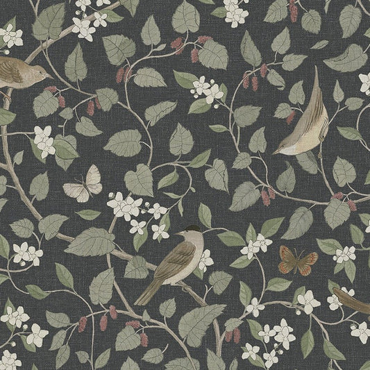 Borastapeter Behang - Sångfåglar - Zwart